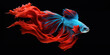 A banner with a Siamese fighting fish, with striking red and blue colors, displays its flowing fins against a dark background.