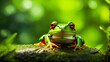Green frog red eyed on water with blur green background. frog, animal, green. ai generative