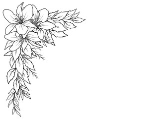 Wall Mural - bouquet flower corner outline illustration
