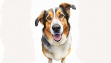 Dog Painted In Watercolor On A White Background