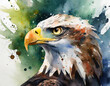 Closeup of eagle head in watercolor drawing style
