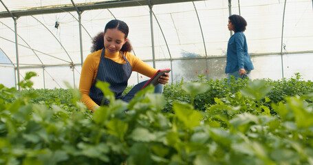 Multi-ethnic woman checks crop quality, records in digital tablet, farm analysis