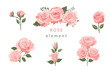 pink rose object element set with leaf.illustration vector for postcard,sticker