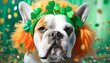 bulldogge, st, patricks, day, spaß, perücke, close up, hintergrund, kleeblätter, haarreif, orange, grün, konfetti, irland, 