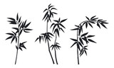 Fototapeta Sypialnia - Jungle bamboo stems silhouettes. Bamboo forest plants leaves and branches, decorative black ink bamboo flat vector illustration set. Asian bamboo branches silhouettes