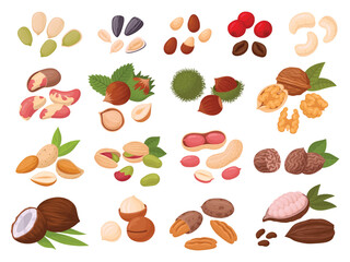 Sticker - Nuts and seeds. Cartoon cashew, coconut, peanut, almond, walnut, hazelnut and pistachio nuts, cocoa and coffee beans, organic snack food flat vector illustration set. Tasty seed and nuts collection