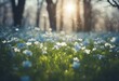 Beautiful blurred spring background nature with blooming glade trees and blue sky on a sunny day