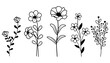 Hand Drawn Wildflowers Vector Collection minimalist style vector illustration isolated on white