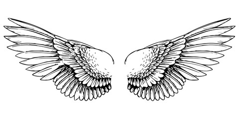 Leinwandbilder - Sketch of heraldic wings. Stylish bird wings. Design elements in coloring book style.
