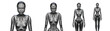 Futuristic robot woman or humanoid cyborg lady. Set of four poses. 3d rendering of the upper body isolated on transparent background