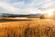 © RacheleB - Golden Morning On the Ranch