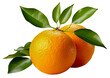 Dojrzałe owoce pomarańcza na przearoczystym tle.