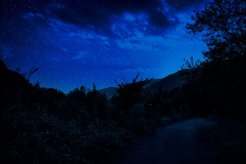 Wall Mural - mystical landscape of full moon rising over tall green meadow with trees at forest