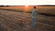 Owner lets trained cocker spaniel dog to free-roam in dry field lit by back sunset light man active small red dog in country park man with cute dedicated dog in wild park on vacation slow motion