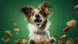 Dog with open mouse and big eyes catching dry pet food on green background, studio shot. Funny dog with cookies. Funny dog on green background. Dog food advertisement.