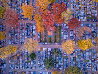 Wall Mural - View from a drone of the cemetery