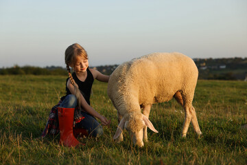 Poster - Girl feeding sheep on pasture. Farm animal