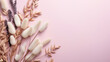 A soft pastel pink background complemented by a frame of natural white and beige dried flowers and plants.