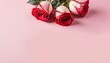 Valentine’s Day Special: Red and Pink Roses