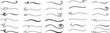 Set of Hand drawn curly swishes, swashes, swoops. Calligraphy swirl. Highlight text element Vectors isolated on transparent background. Underline typography tail shape. Brush drawn thick curved smear.