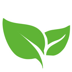 green leaf icon