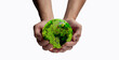 Environment Earth Day In the hands holding green earth on white Background, Saving environment, and environmentally sustainable. Save Earth. Concept of the Environment World Earth Day