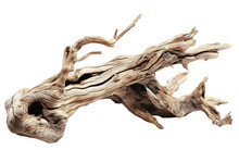 Driftwood Dream Minimalistic Display On A Transparent Background