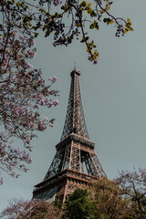 Canvas Print - Eiffel Tower, Paris, France