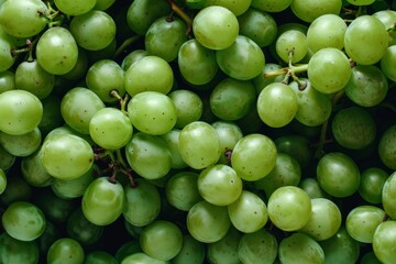 Sticker - Close up of fresh grapes with water drops, top view