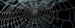 © kilimanjaro  - spider webs isolated on black background. Realistic spider web background texture.