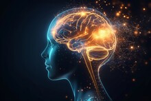 Human Brain Free Stock Photo - Public Domain Pictures