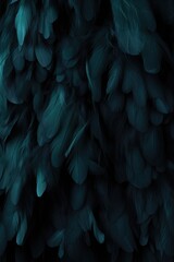 Wall Mural - Beautiful feathers background in dark blue and black colors. Closeup image of colorful fluffy feather. Natural pattern. Minimal abstract composition with copy space