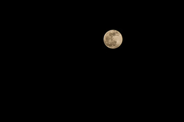 full moon in the night