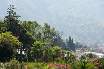 Wall Mural - Kotor, Montenegro trees landscape, houses