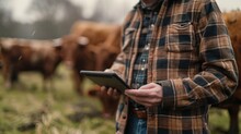 On A Cow Farm, The Modern, Tech-savvy Farmer Manages Processes Efficiently, Holding A Tablet In His Hands To Conduct Research And Enter Data Into A Database
