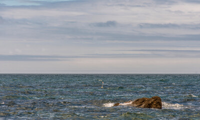 Poster - L'océan Atlantique sur le littoral portugais à Gulpilhares, Douro Litoral, Portugal