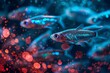 Neon tetra fish swimming in blue illuminated water with red bokeh lights.