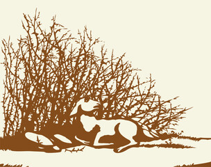 Poster - Vector drawing. The sheep got lost in the thorn bushes