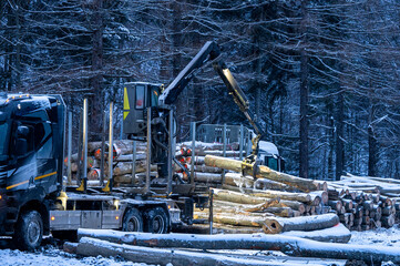 Canvas Print - Loading wood onto a truck in the forest in winter.