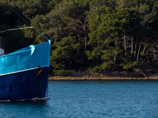 Wall Mural - sea