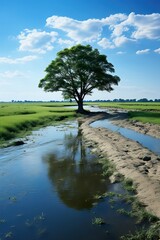 Wall Mural - tree in the water