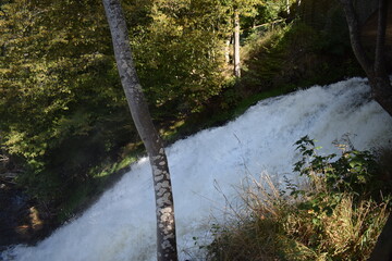 Canvas Print - waterfall Cascade de Coo in Belgium during autumn