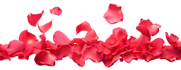 Canvas Print - Rose petals scattering in the air, cut out