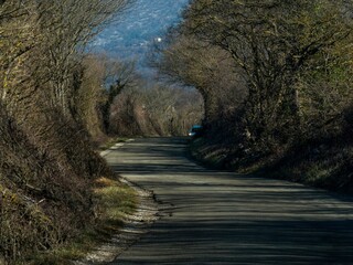 Canvas Print - rural