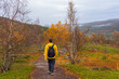 Landschaftsfotografie von einem in Herbstfarben erstrahlenden Weg auf dem ein Mann in gelber Jacke läuft in Norwegen, Skandinavien. 