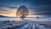 Winter Landscape With Sunset With A Lonely Tree In The Middle