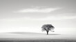 A black and white photograph of a lone tree in negative space.