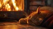 illustration of a cat is sleeping next to a fireplace