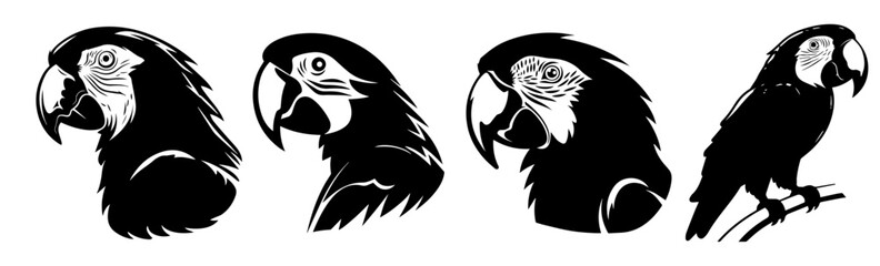 Wall Mural - black and white silhouettes of Parrot 