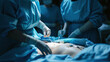 Girl surgery on belly. Diagnostics before surgery. 
